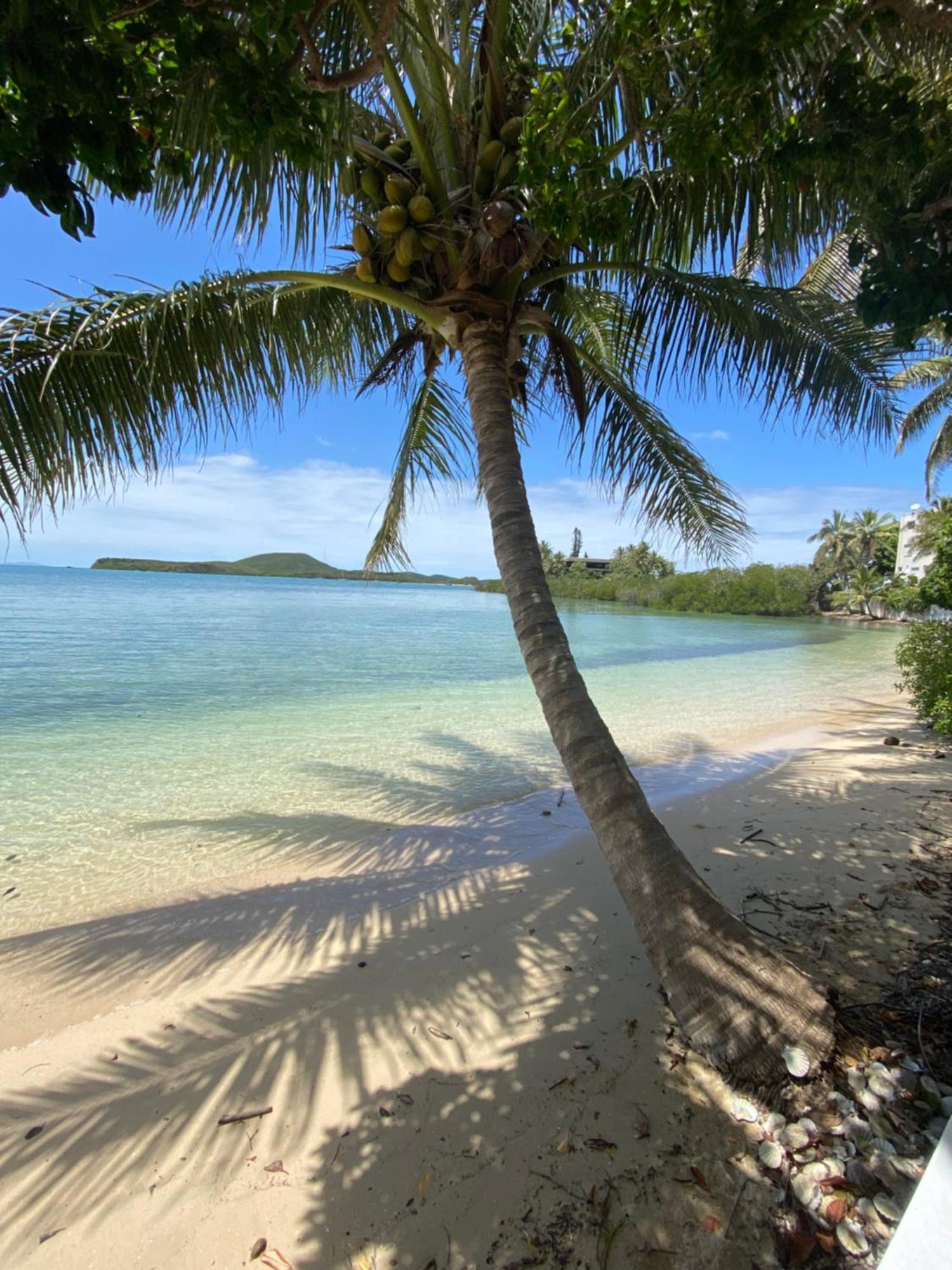 Michelle'S Flat By The Sea Apartment Noumea Bagian luar foto